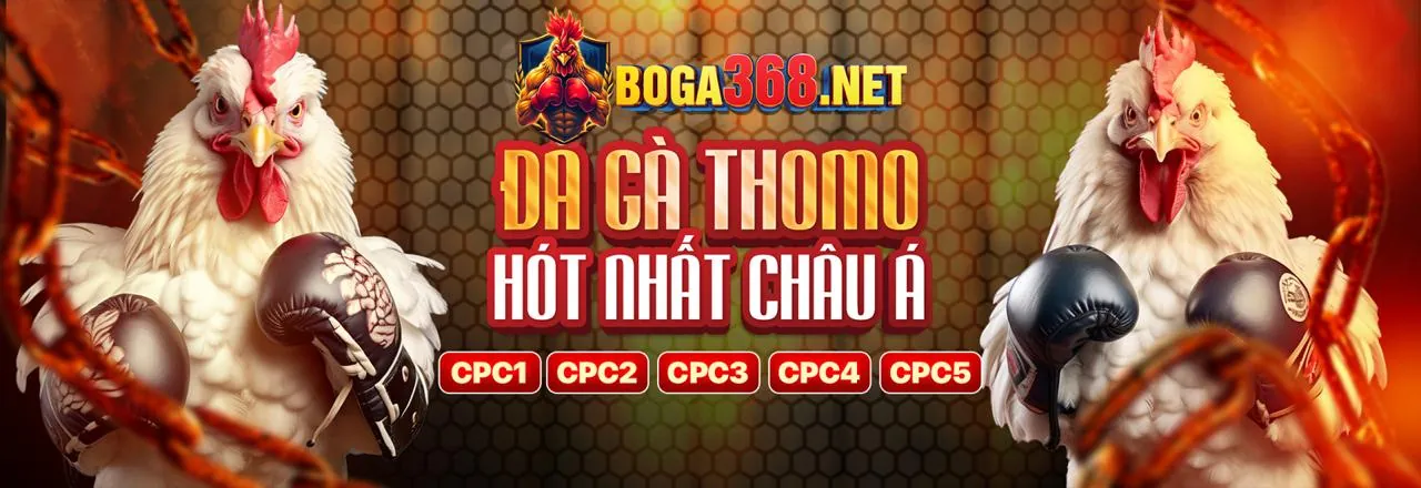 Sân vận động đầy ắp khán giả, biểu tượng cá cược thể thao trực tuyến của 123goal khuyến mãi